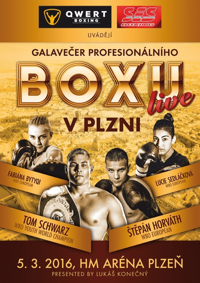 picture Galavečer profesionálního boxu v Plzni